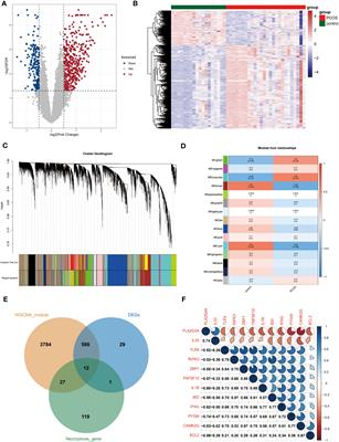 A novel model based on necroptosis to assess progression for polycystic ovary syndrome and identification of potential therapeutic drugs